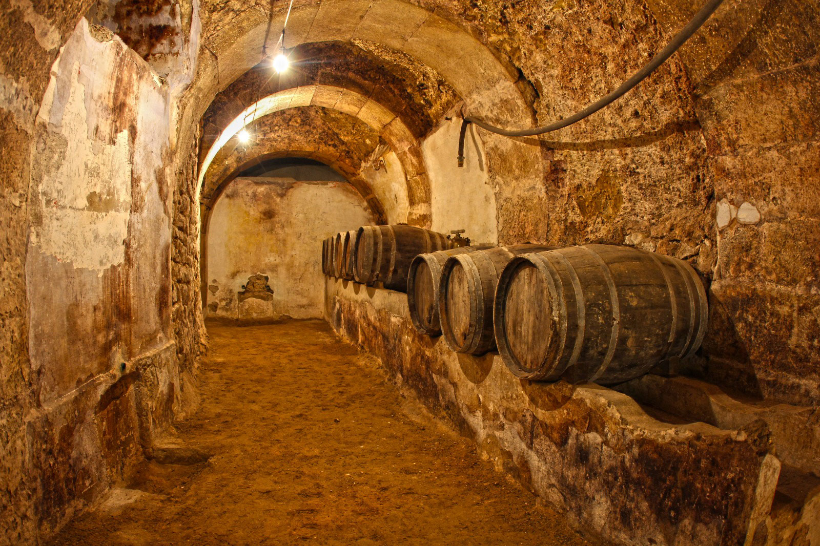 Visita calado antiguo con degustación Amelí Rioja Tours