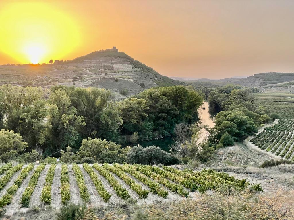 Paisaje cultural del vino y el viñedo de la Rioja