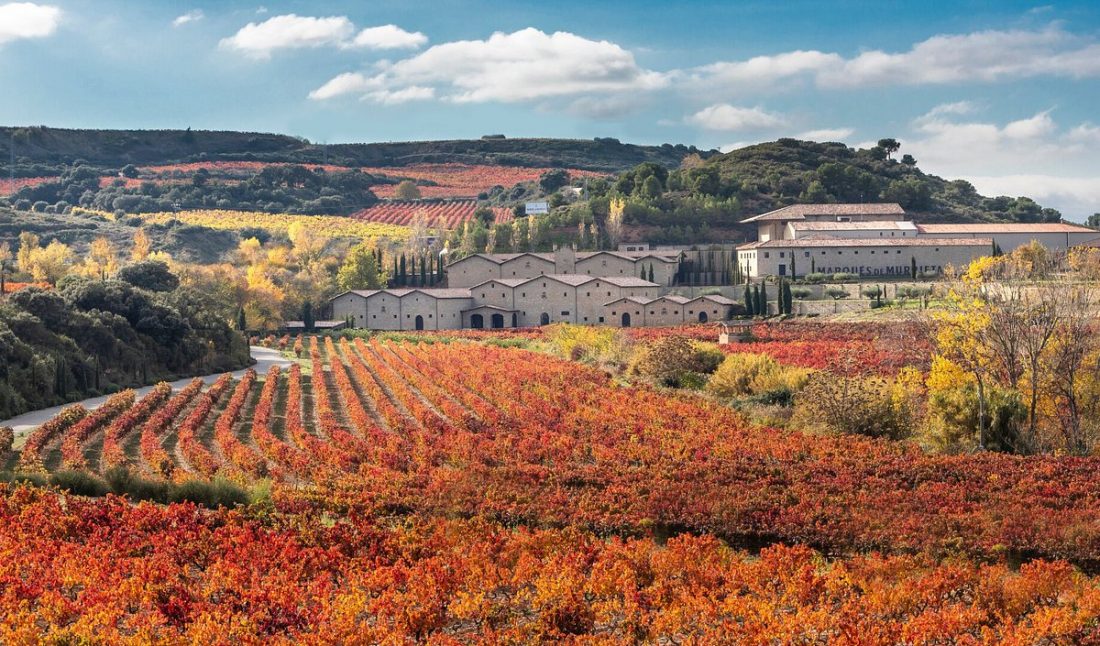 Bodegas Marqués de Murrieta en Logroño