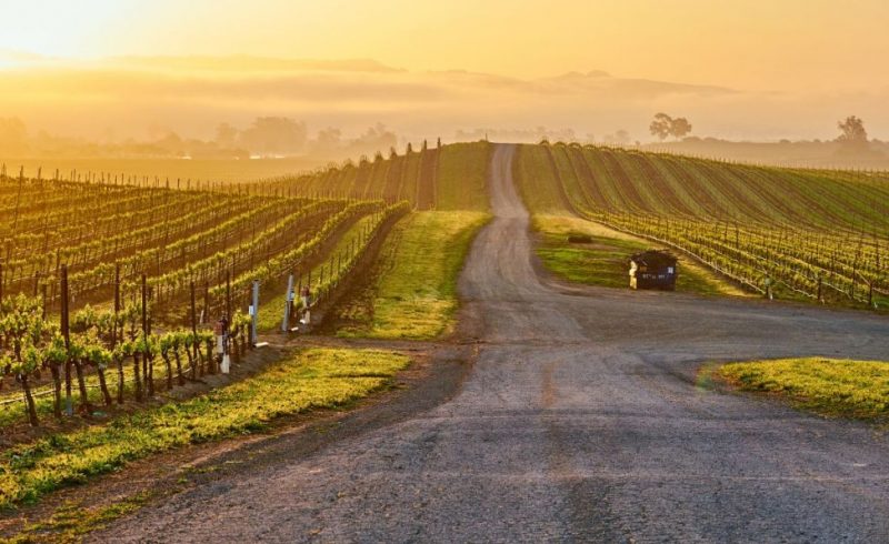 Wineries in Logroño